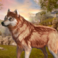 野狼动物模拟器安卓版v1.0.3